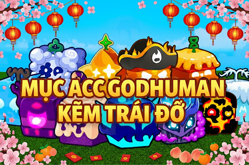 ACC GODHUMAN KÈM FRUITS RƯƠNG